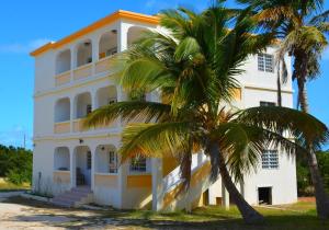 a white building with palm trees in front of it at J's Place in East End Village