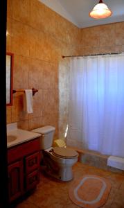 a bathroom with a toilet and a sink and a shower at J's Place in East End Village