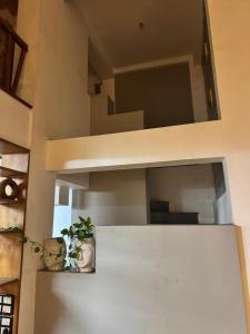 a refrigerator with two plants sitting on top of it at Meridian penthouse in Kolhapur