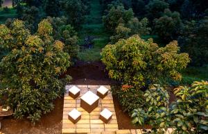 een luchtfoto van een tuin met twee bomen bij Zalfa Hills 