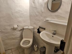 ein Badezimmer mit Toilette und Waschbecken in der Unterkunft La maison d'Angèle in Sainte-Eulalie-du-Cernon