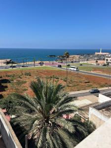 a view of the ocean and a palm tree at Entire Ocean-View Apartment in Rabat