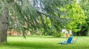 En have udenfor Le cedre du parc de la dame + 7 billeder