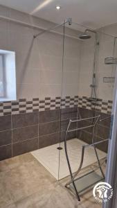 a shower in a bathroom with a glass door at La biscontarié in Assac +31 photos