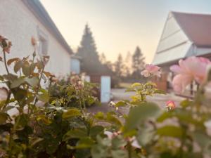 Billede fra billedgalleriet på Marias Vintage Resort i Pusztavacs