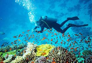 Gæster der bor på Blue Sky Villa 02 Ahangama