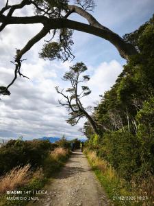 Naturlandskabet i nærheden af lejligheden