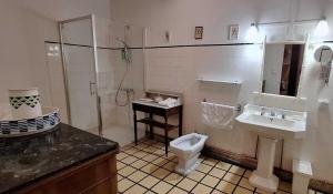 a bathroom with a sink and a toilet and a shower at Maison boutet 9 in Fanjeaux +21 photos