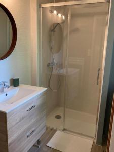 een badkamer met een douche en een wastafel bij Chez denise in Paulinet +24 foto's
