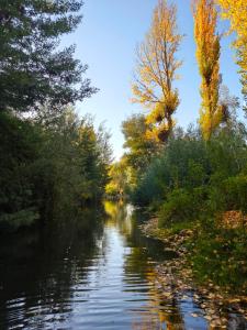 Naturlandskabet i nærheden af campingpladsen