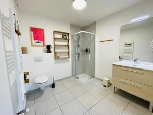 a bathroom with a shower and a toilet and a sink at Les pieds dans l'eau in Thonon-les-Bains