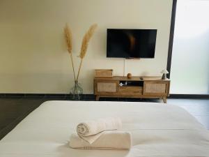 a white bed with two towels on it with a television at Les pieds dans l'eau in Thonon-les-Bains
