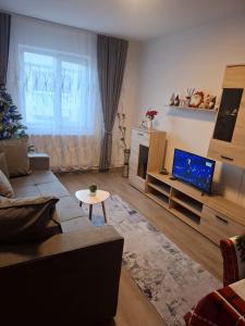 un soggiorno con albero di Natale e TV di Lily Ap a Lupeni