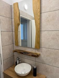 a bathroom with a sink and a mirror at Conac Tigveni Pool & Spa Retreat in Tigveni