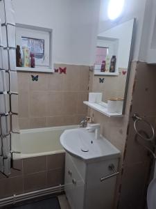 a bathroom with a sink and a bath tub at Lily Ap in Lupeni