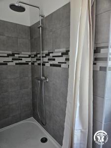 a bathroom with a shower with a shower curtain at Roumanieu le gite in Saint-Gauzens +19 photos