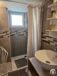 a bathroom with a sink and a shower at Roumanieu le gite in Saint-Gauzens