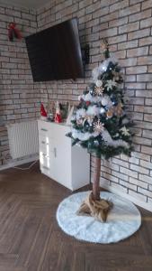 einen Weihnachtsbaum in einem Wohnzimmer mit einem TV in der Unterkunft ,,Dom Na Skarpie'' z Balią i basenem letnim in Sulęczyno