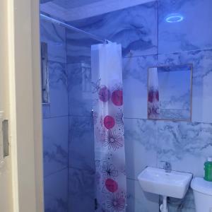 a bathroom with a shower with a sink and a toilet at Carlcyn 263 Cottage in Bulawayo