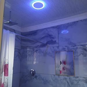 a ceiling in a bathroom with a shower at Carlcyn 263 Cottage in Bulawayo