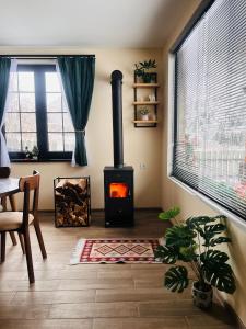 een woonkamer met een houtkachel in een kamer bij Woodlandia Resort Borjomi in Borjomi