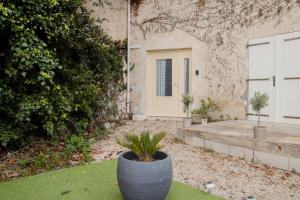 een plant in een pot voor een deur bij La voûte des Baous in Vence