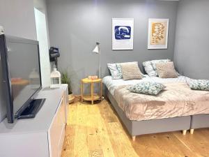 a living room with a bed and a flat screen tv at Apartament Pastelowy Tukan in Kwidzyn