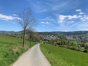 een onverharde weg in het midden van een veld bij Ferienwohnung CityNest - moderne Wohnung zentral in Schmallenberg in Schmallenberg