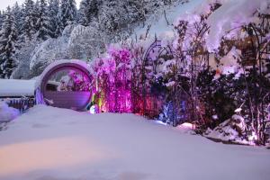 Art-Apartments Kartnaller superior om vinteren