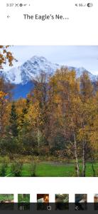 two photographs of a snow covered mountain with trees at The Salmon Suite in Palmer