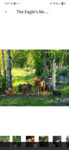 two photographs of a park with a statue of a deer at The Salmon Suite in Palmer