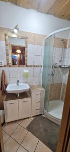 une salle de bain avec lavabo et douche dans l'établissement Skiprivat, à Ružomberok 29 autres photos