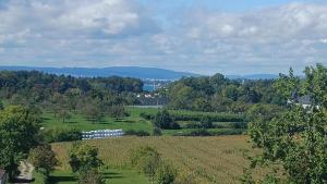 Příroda nedaleko apartmánu