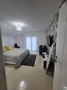 een slaapkamer met een bed, een tv en een bank bij Apartman IN in Bihać