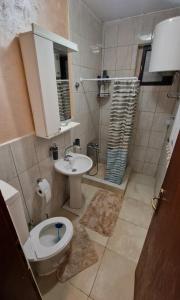 een kleine badkamer met toilet en wastafel bij Eco Bay Montenegro in Donji Morinj
