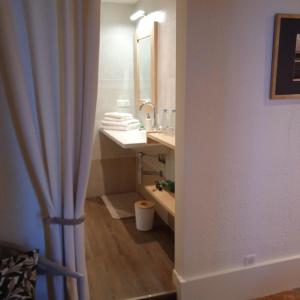 een badkamer met een wastafel en een douchegordijn bij L'oree de la gresigne in Cordes-sur-Ciel