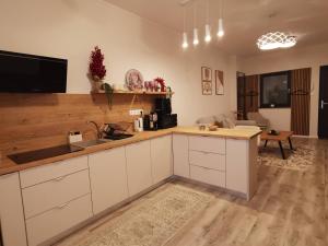 Køkken eller tekøkken på River Apartman 1