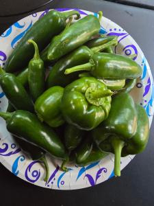 a plate of green peppers on a table at Paradise Gardens Glamping in Westville +32 photos