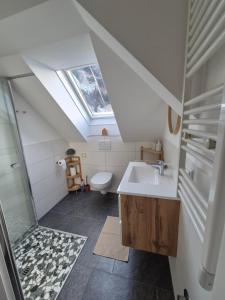 un bagno con lavandino, WC e lucernario di Haus Auszeit a Rauris Altre 69 foto