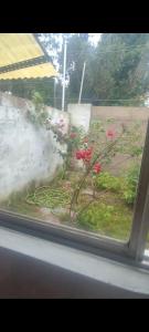 una finestra con vista su un giardino con fiori rosa di casa en las dalias a Mar del Plata 1 altra foto