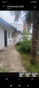 una palma che si erge davanti a una casa di casa en las dalias a Mar del Plata
