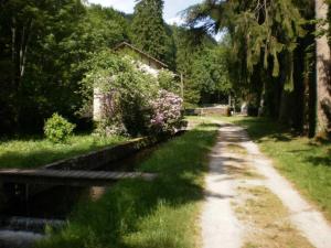a dirt road next to a river with trees at Le gite de cals haut in Lacombe +4 photos