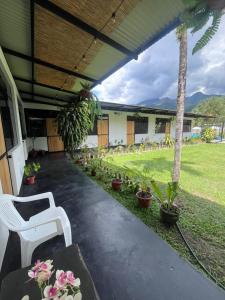 een veranda met een witte stoel en een bos planten bij La Posada de Chango in La Merced