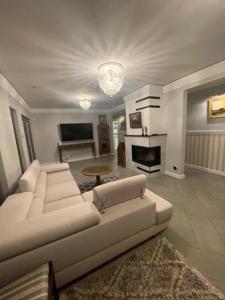 een woonkamer met een bank en een open haard bij Dom Berry 