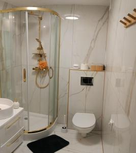 un bagno con doccia, WC e lavandino di Gold apartament a Poznań
