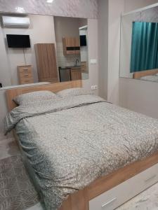 una camera da letto con un letto e un grande specchio di Litsa Fit a Salonicco