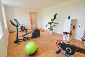 a gym with exercise bikes and a ball in a room at Le domaine de rigou in Lasbordes