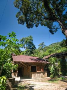 een huis met een boom ervoor bij Hostel Cedro do Ronca in Paraty