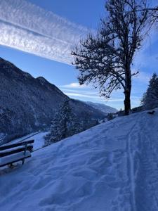a snow covered hill with a bench and a tree at Bergkraft in Assling