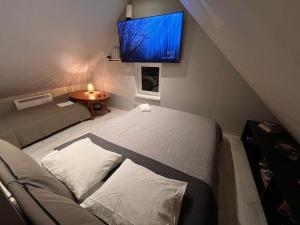 a bedroom with a bed and a flat screen tv at Ader puhkemaja in Kogula